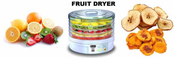 Delmonte Fruit Dryer Model DL 195